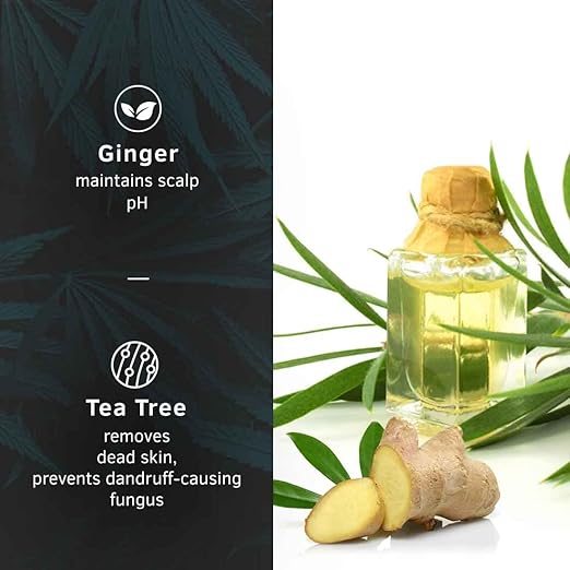 Ustraa Hair Serum Anti-Dandruff - 100ml | Fights Dandruff with Tea Tree & Ginger | Maintains scalp pH | Prevents growth of dandruff-causing microorganisms| No Sulphates, No Paraben