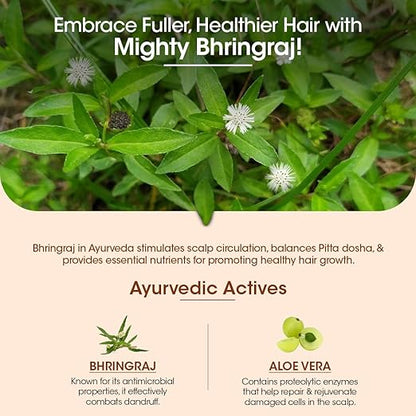 TAC - The Ayurveda Co. Bhringabali Hair Shampoo - Natural, Ayurvedic Formula with Bhringraj Oil for Hair fall & Dandruff Control - Women & Men, Sulphate & Paraben-Free, 250ml