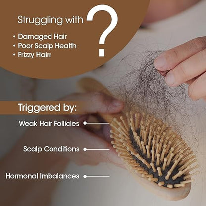 TAC - The Ayurveda Co. Bhringabali Hair Shampoo - Natural, Ayurvedic Formula with Bhringraj Oil for Hair fall & Dandruff Control - Women & Men, Sulphate & Paraben-Free, 250ml